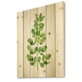 thumbnail image 2 of Designart 'Moringa Plant Branch Tropical Tree Foliage' Farmhouse Print on Natural Pine Wood, 2 of 5