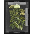 thumbnail image 3 of Bookplate Floral I, Botanical Framed Art Print Wall Art by Naomi McCavitt Sold by Art.Com, 3 of 6