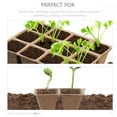 thumbnail image 5 of UPOUART Nursery Pot for Plants 1 Set of Plant Nursery Cup Assorted Color 1Set, 5 of 6