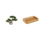 thumbnail image 1 of Colección De Bonsáis Artificiales, Plantas Artificiales En Maceta Para Centros De Mesa, Cestas De Frutas Tejidas, Cuenco Para Aperitivos, Plato Para Pan., 1 of 8