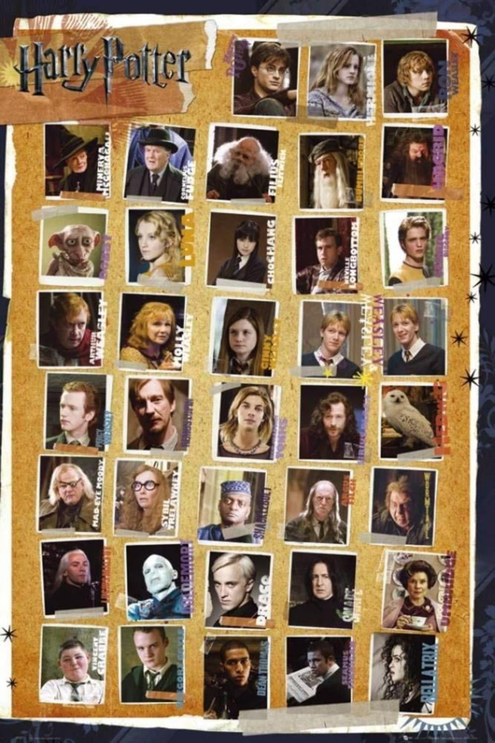Poster Harry Potter and The Deathly Hallows 7 with Film Characters 91 x