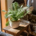 thumbnail image 5 of Rattan Pattern Edge Cement Planter, 5 of 10