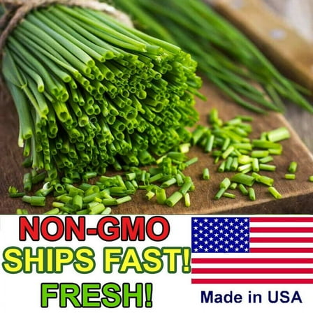 500  Heirloom Onion Chives Seeds | Common Chives Non-GMO Fresh Herb Garden Seeds