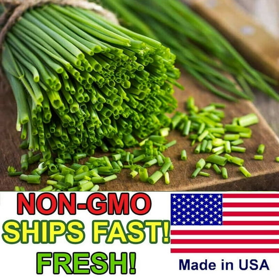500  Heirloom Onion Chives Seeds | Common Chives Non-GMO Fresh Herb Garden Seeds