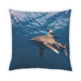 thumbnail image 2 of Ahgly Company Animals Shark Coussin d'Intérieur, 18 Pouces par 18 Pouces, 2 of 6