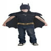 Batman The Dark Knight Rises Muscle Chest Costume Shirt with Cape and Mask