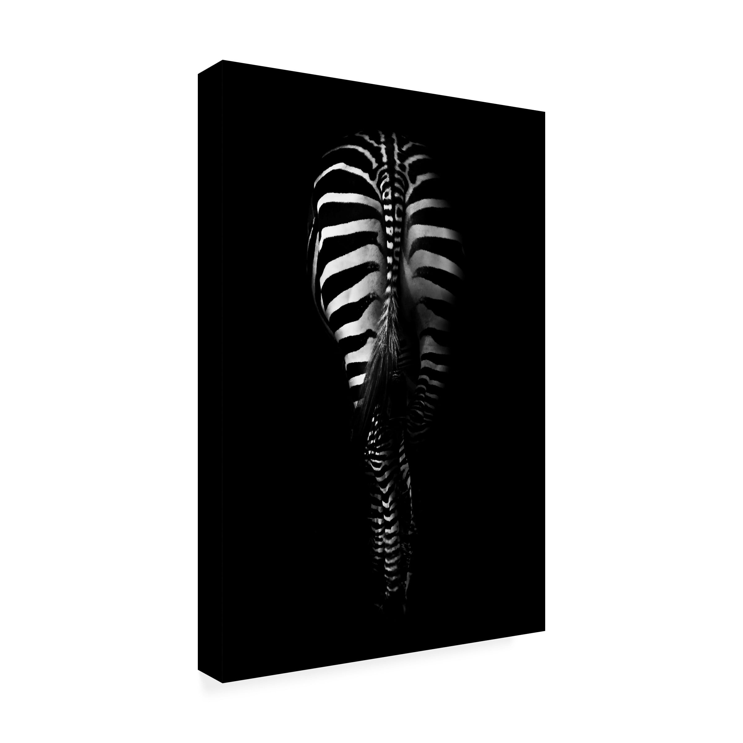 Antonio Grambone 'Zebra Rear' Canvas Art