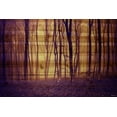 thumbnail image 2 of "Crimson Forest" Painting Print on Natural Pine Wood, 2 of 7