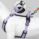 thumbnail image 4 of Arnés ligero para mascotas con asa, chaleco antiescape para perros pequeños y medianos, correas para el pecho para cachorros, chihuahuas, carlinos, suministros para mascotas, 4 of 5