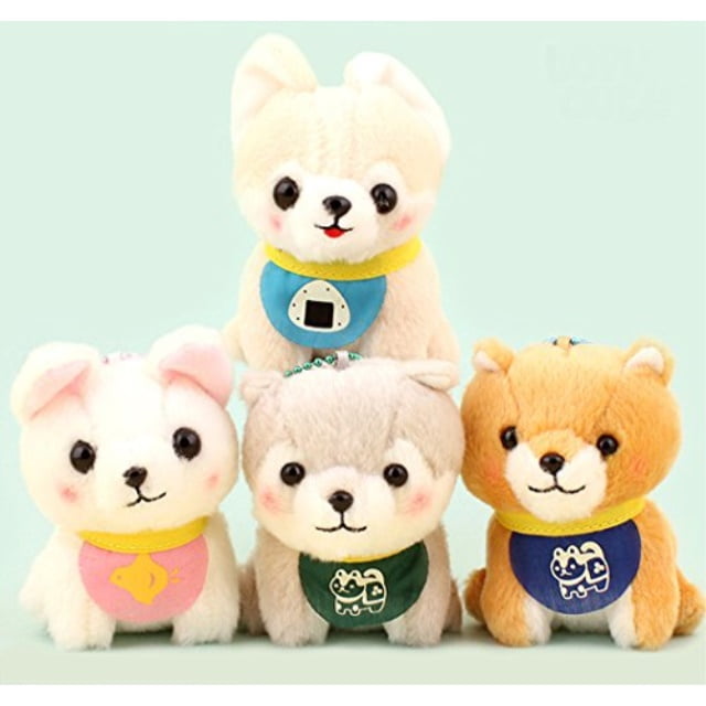 amuse collection shiba