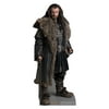 Thorin Oakenshield (The Hobbit)