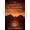 colour-5, variant on The Cahill Chronicles Echoes of Deceit, Book 2, (Paperback)