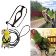thumbnail image 1 of Pet Parrot Bird Harness Leash Adjustable Bird Flying Harness Traction Rope With Cute Wing For Parrots Outdoor Training Toy Z, 1 of 4