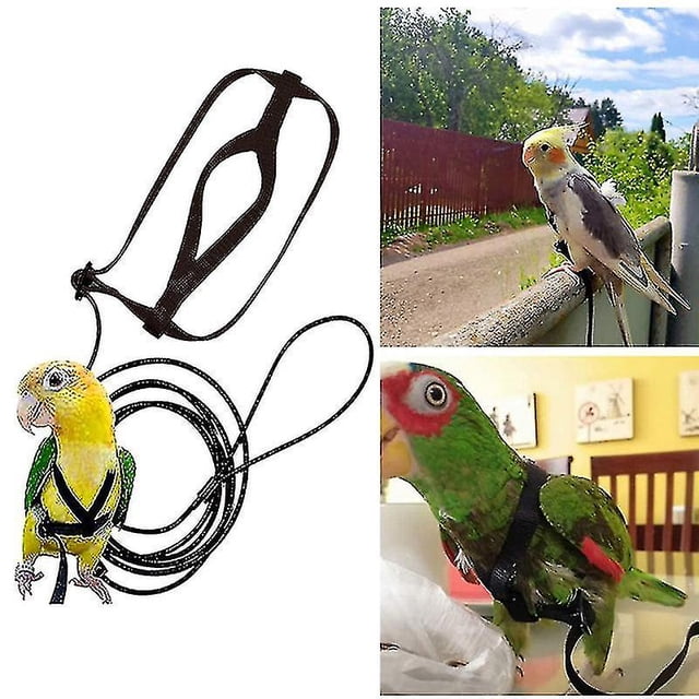 Pet Parrot Bird Harness Leash Adjustable Bird Flying Harness Traction Rope With Cute Wing For Parrots Outdoor Training Toy Z