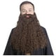 thumbnail image 1 of Disfraz de barba falsa de 45 cm de largo para cosplay de mago de Halloween, 1 of 9