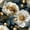 Color 4, variant on Peel and Stick Wallpaper Vintage Botanical Scene Soft Lighting 17.7in x 9.8ft Self Adhesive Contact Paper Renter Friendly