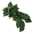 thumbnail image 4 of Planta de simulación de reptiles, paisajismo decorativo, enredadera falsa para reptiles, caja de selva tropical, hoja de hilo dorado NFF‑82, 4 of 14