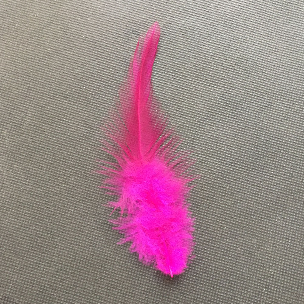 Art Clothes Accessary Feathers Craft Feathers Craft Feathers Walmart