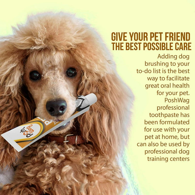 What can i top use for dog toothpaste