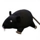thumbnail image 2 of Muñeco De Peluche De Ratón De Simulación De 20Cm, Rata De Peluche Suave, Juguete De Animal De Peluche, Regalo Para Niños Yuarrent FN007478-02, 2 of 5