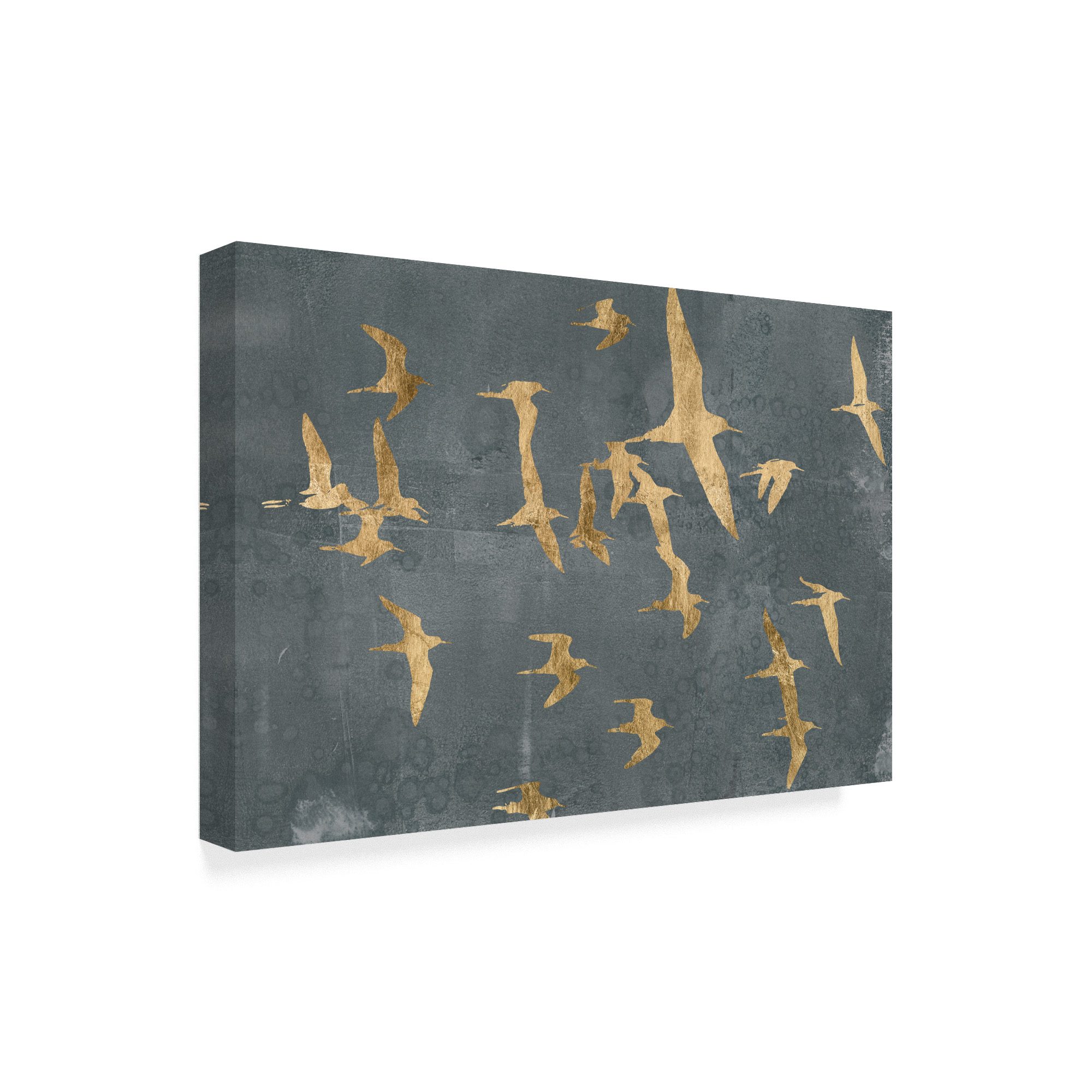 Trademark Fine Art 'Silhouettes in Flight IV' Canvas Art by Jennifer Goldberger