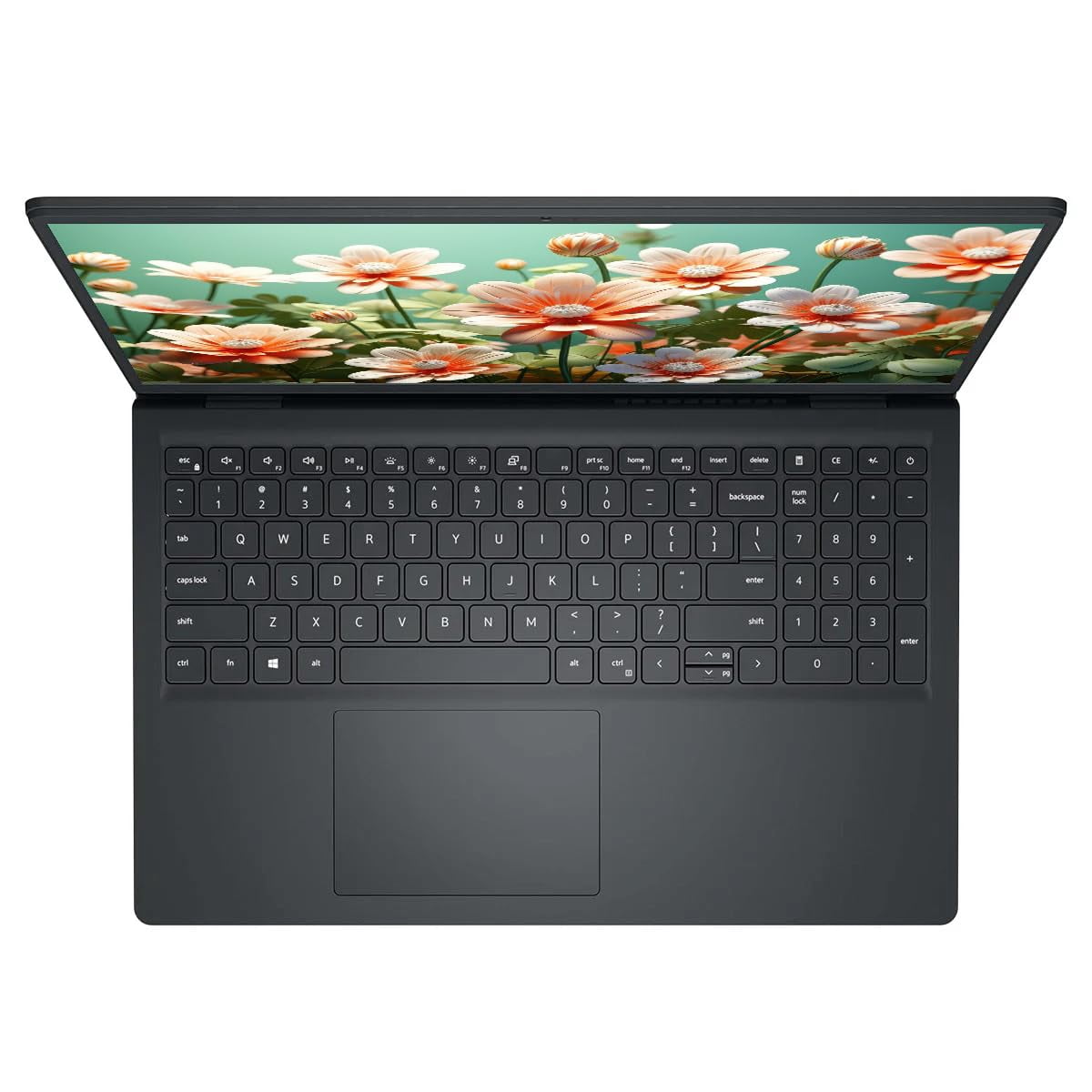 Dell Inspiron AMD Ryzen 5, 8GB, 256GB SSD, 15.6 FHD Touch | ExcelDisc