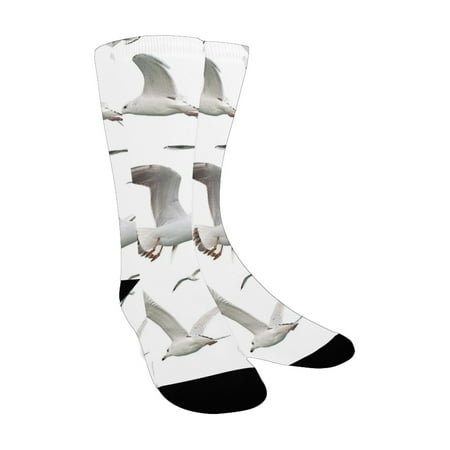 

Seagulls Decor Collection Big Birds Various Seabird Wingspan Natural Ocean Feather Sea Scene Illustr Custom Socks for Women
