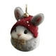 thumbnail image 2 of Adornos Navideños Acrílicos de Animales | Adornos Colgantes Planos de 2 Mm de Grosor con Cordón Dorado | Decoración Compacta y Duradera para Árbol de Navidad de 8 Cm | Multiusos para El Hogar, La Ofi, 2 of 5