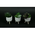 thumbnail image 2 of Napco Set of 3 Geometric Circle Design Cement Mini Planters With Wood Legs, 2 of 3