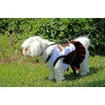 thumbnail image 2 of Pets First College Maryland Terrapins Cheerleader, 3 Sizes Pet Dress Available. Licensed Dog Outfit, 2 of 6