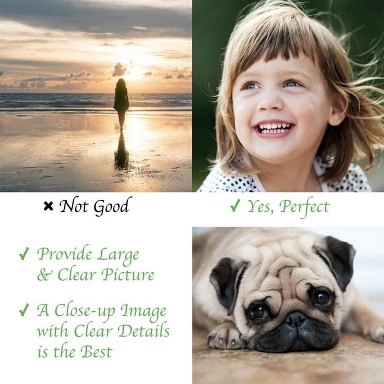 Personalized Pet Urn For Dogs & Cats – Custom Engraved Ash Keeper With Photo, Memorial Keepsake Box