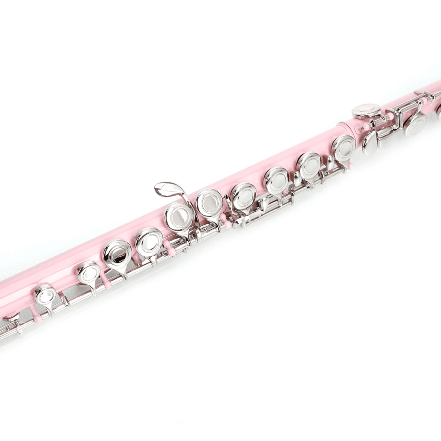 Hassch 16 Key Closed Hole C Flute with Case, Beginners Kit with Cloth, Screwdriver, Lubricant and Cleaning Rod for Learning, Pink