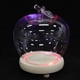 thumbnail image 1 of Glass Dome Display with Base for Preserved Flowers, Figurines, and Crafts Dustproof Cloche Bell Jar for Home Decor and Party Centerpieces, 1 of 4