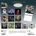 thumbnail image 2 of Fantasy Pugs OFFICIAL | 2026 12x24" (Hanging) Square Wall Calendar | BrownTrout, 2 of 9