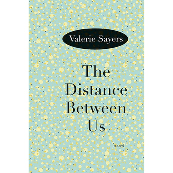 Pre-Owned The Distance Between Us : A Novel (Paperback)
