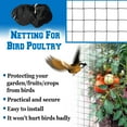 thumbnail image 6 of Sunny Bird Netting Net For Bird Poultry Avaiary Game Pens Black Mesh-50' X 50', 6 of 7