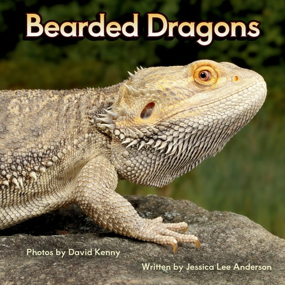 Junior Animal Explorers Bearded Dragons, (Paperback)