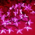 thumbnail image 2 of LINLIN Solar Starfish String Lights,Waterproof Solar Starfish Fairy Lights 8 Mode Starfish Fairy Christmas Lights for Outdoor Indoor Garden Home Wedding Party Christmas Lighting Decorations, 2 of 9