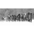 thumbnail image 2 of Jones, Adam 18x11 White Modern Wood Framed Museum Art Print Titled - Panoramic view of rodeo horses running during winter roundup-Kalispell-Montana, 2 of 4