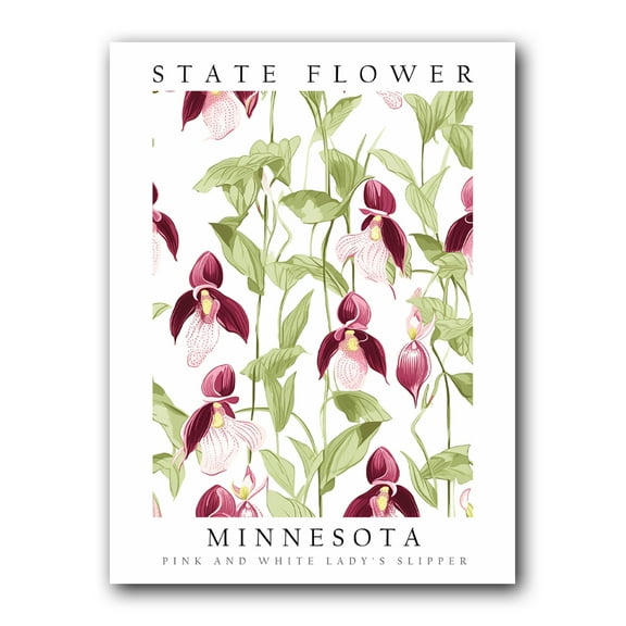 Pink & White Lady Slipper, Minnesota State Flower, Poster Print, Wall Décor