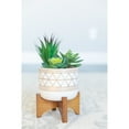 thumbnail image 4 of Flora Bunda CS1919E-BLK FAUX SUCCULENTS IN GOLD HANDPIANT 5' CERAMIC FOOTED STAND, 4 of 5