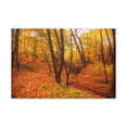 thumbnail image 3 of Fall Orange Tree Forest Nature Wilderness Photography Canvas Wall Art for Home Decor Ready-to-Hang, 3 of 18