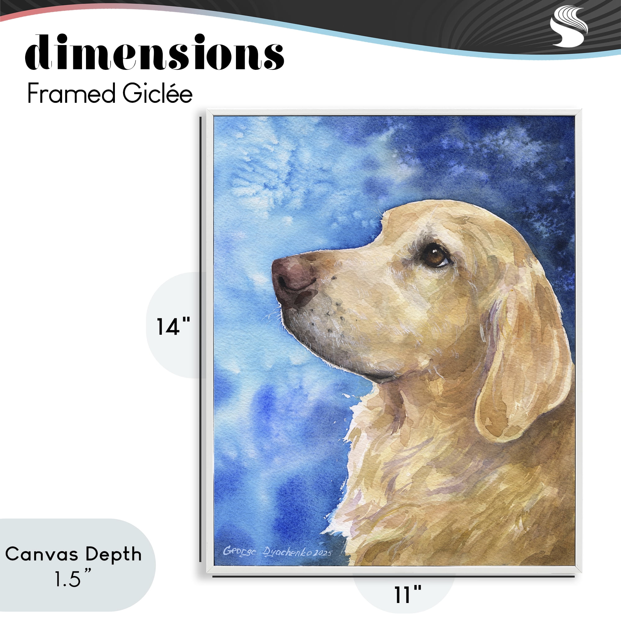 Stupell Industries Golden Retriever Portrait on Azure White Framed Giclee Art, design by George Dyachenko