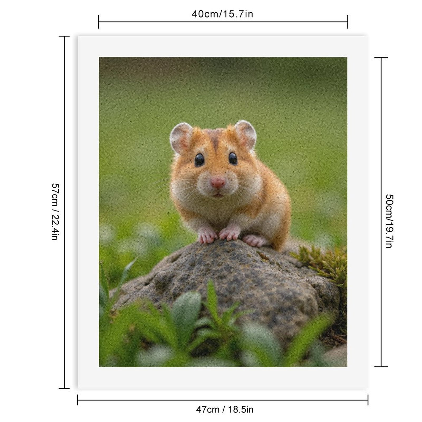 Paint By Numbers Kit for Adults Beginner - DIY Small Animal On Rock Nature Scene Canvas Painting Kits for Adults, Frameless Paint By Number for Adults for Home Wall Decor 16x20 Inch