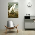 thumbnail image 3 of John James Audubon Painting Snowy Heron By Audubon Canvas Art Birds Framed Wall Art, 3 of 7