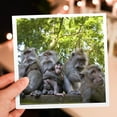 thumbnail image 6 of 3drose, Bali, Sacred Ubud Monkey Forest, Longtail Macaque-as11 Sws0131 - Stuart Westmorland, 1 Greeting Card with Envelope, 6 of 6