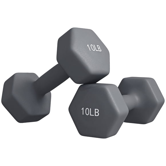 Soozier 10lb Hex Dumbbell Set (2 Weights) - Grey, Non-Slip Grip for Home Gym Strength Training - Compact Design for Living Room, Bedroom & Fitness Area