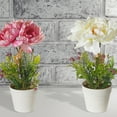 thumbnail image 2 of Maison Concepts Artificial Peony In Plastic Pot Asstd - Set of 2 (4L X 4W X 10.65H), 2 of 3