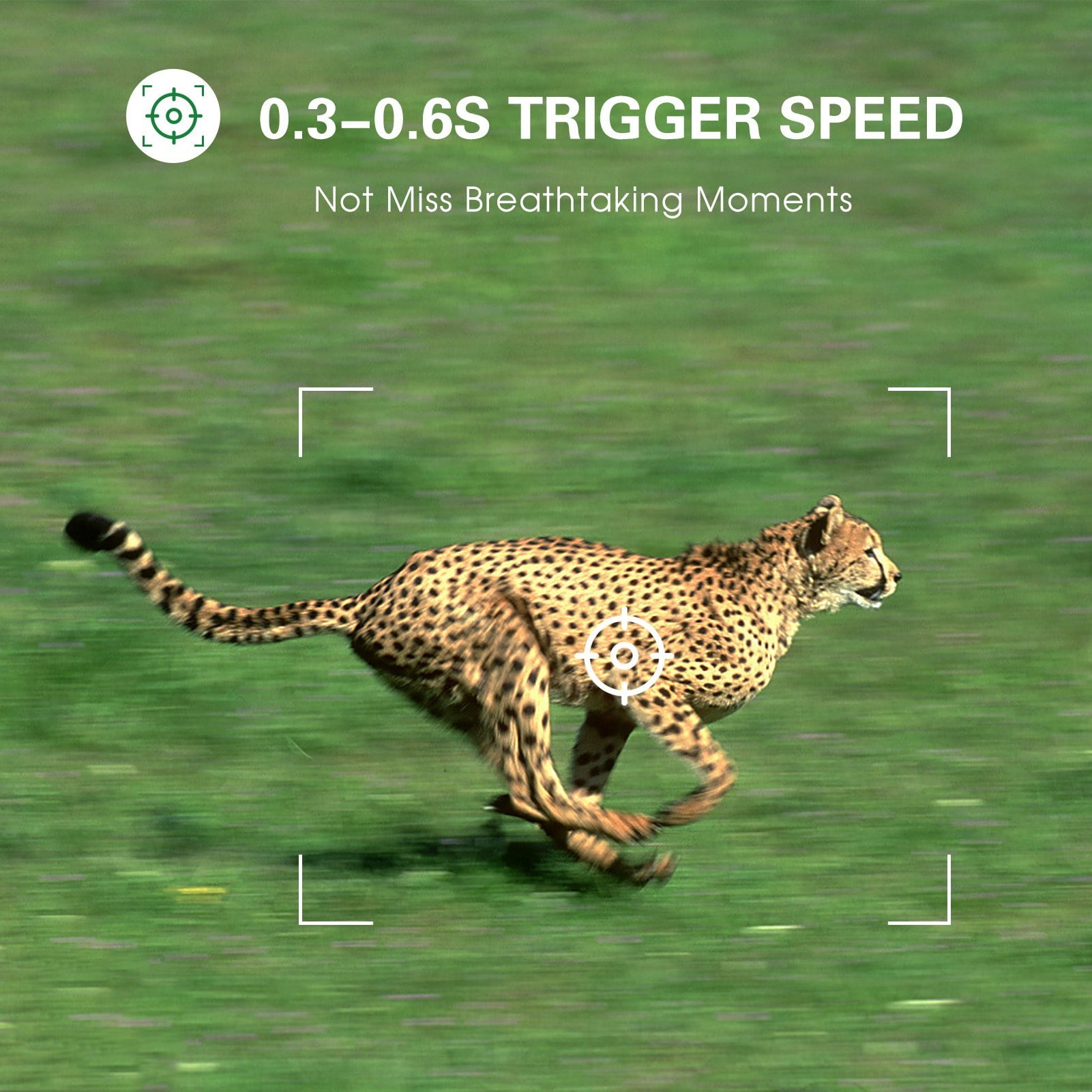 36MP 1080P Night Vision Waterproof Infrared Game Camera