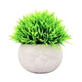 thumbnail image 2 of Pequeñas plantas Craft Simulation Gifts Dousewarming Gifts Bonsai PU Material Ornamento Planta en maceta para el pequeña sala de de de - Beige a Soledad Plantas en macetas, 2 of 7